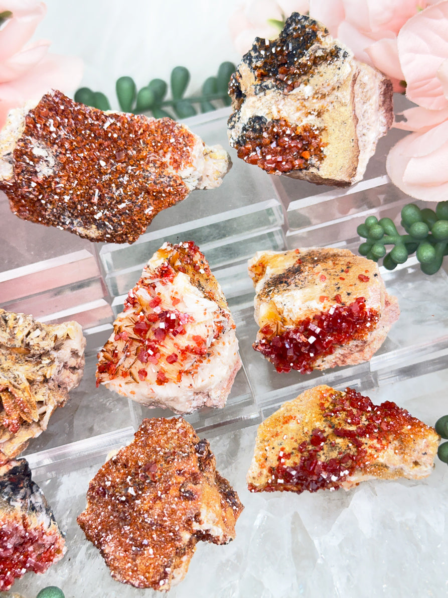 Small Vanadinite Clusters