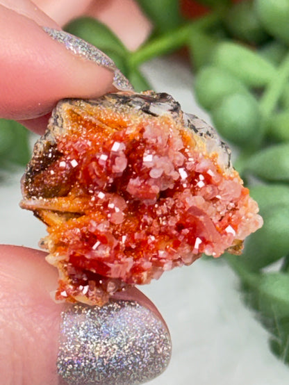 Small Vanadinite Clusters
