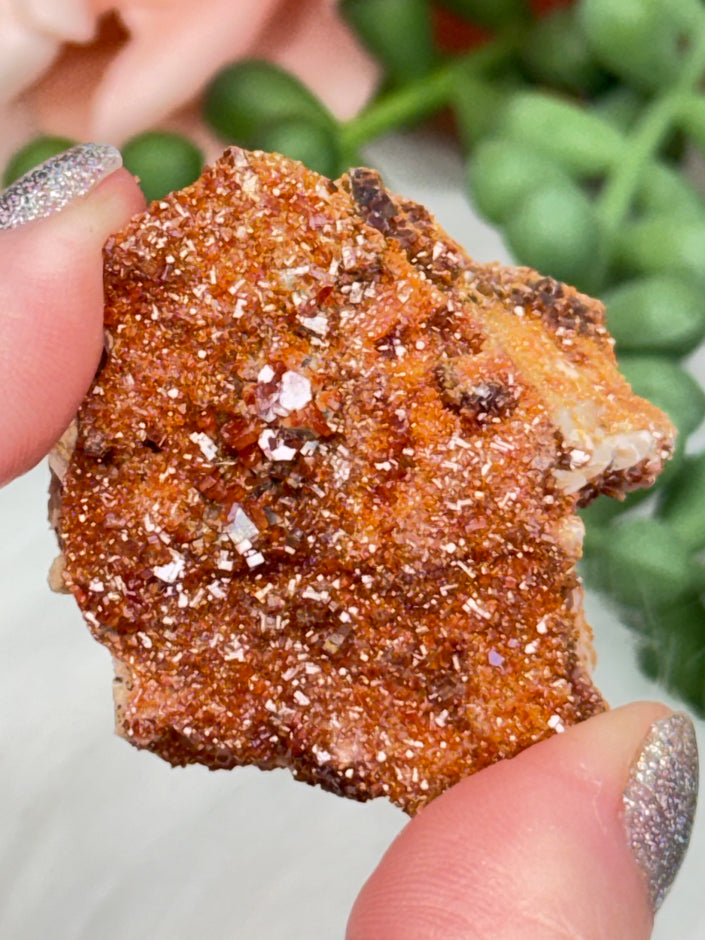 Small Vanadinite Clusters
