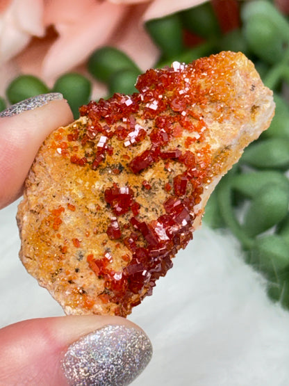 Small Vanadinite Clusters