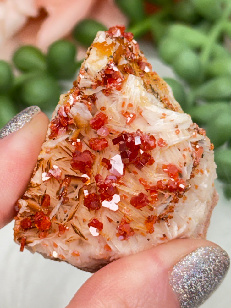 Small Vanadinite Clusters