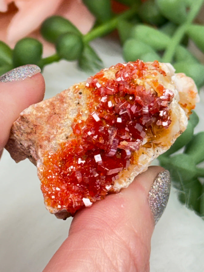 Small Vanadinite Clusters