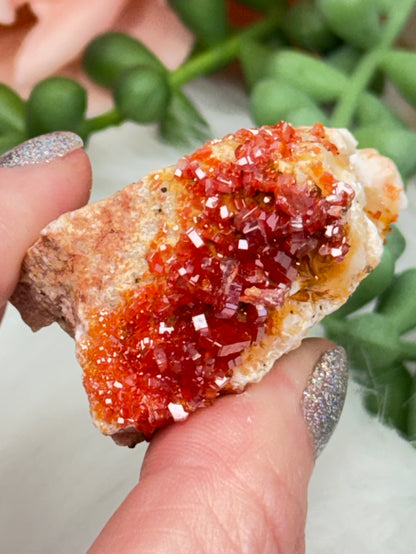 Small Vanadinite Clusters