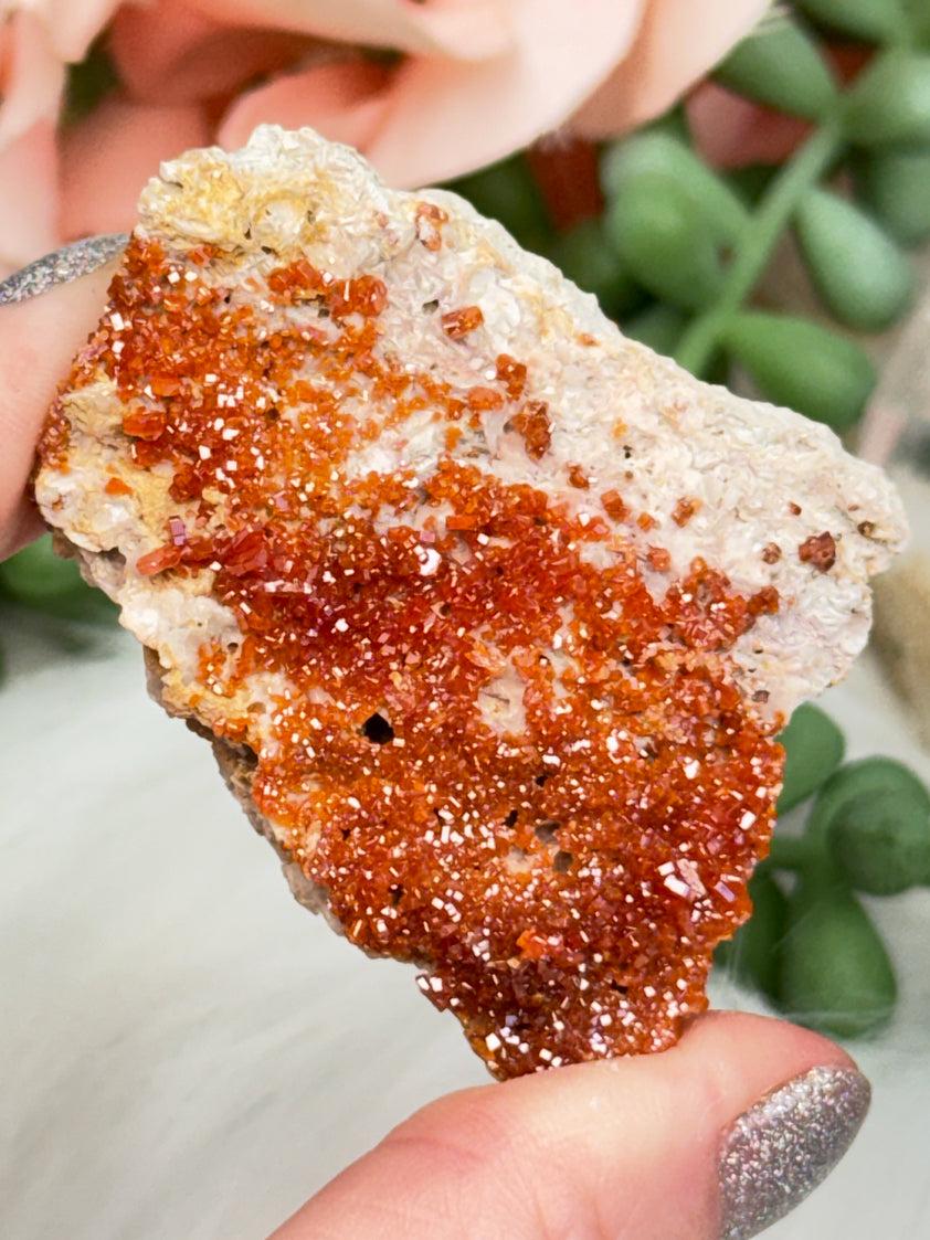 Small Vanadinite Clusters