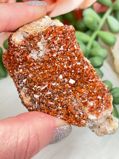 Small Vanadinite Clusters