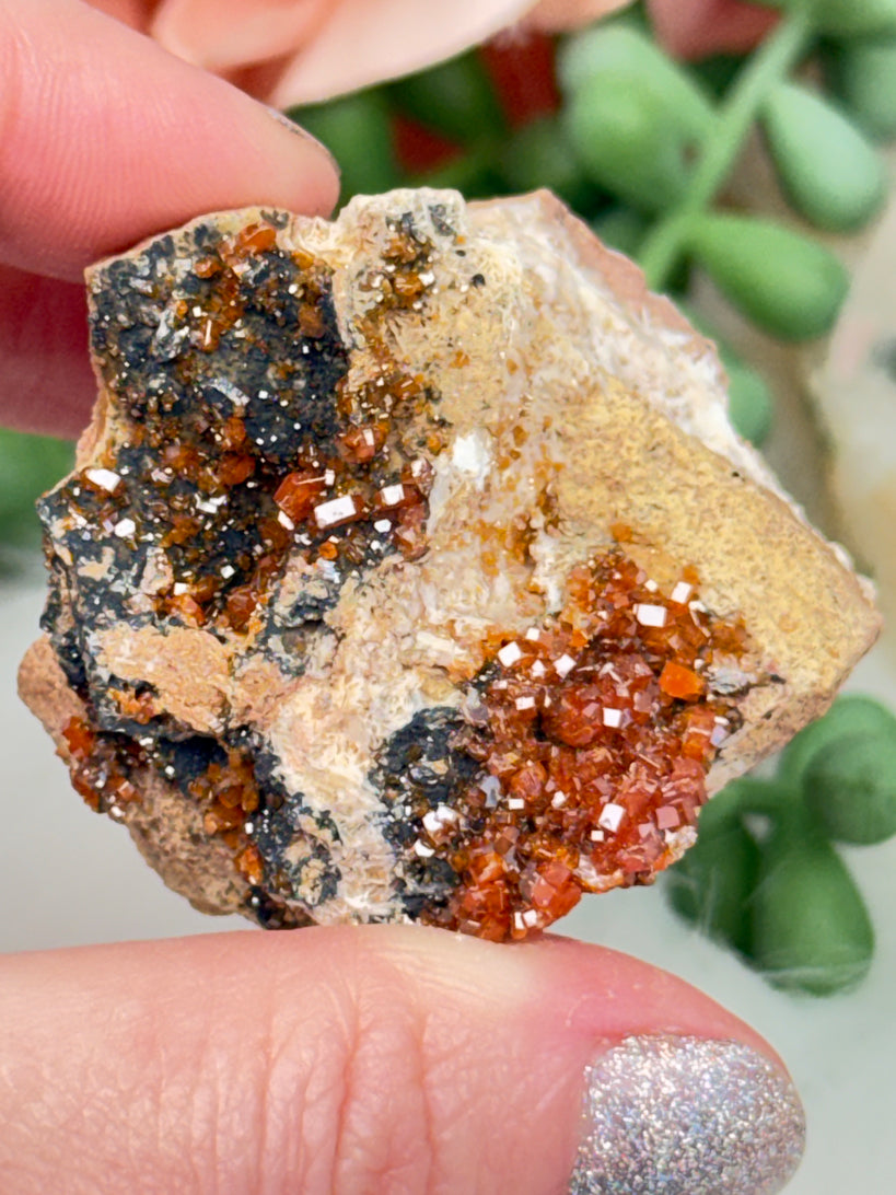 Small Vanadinite Clusters