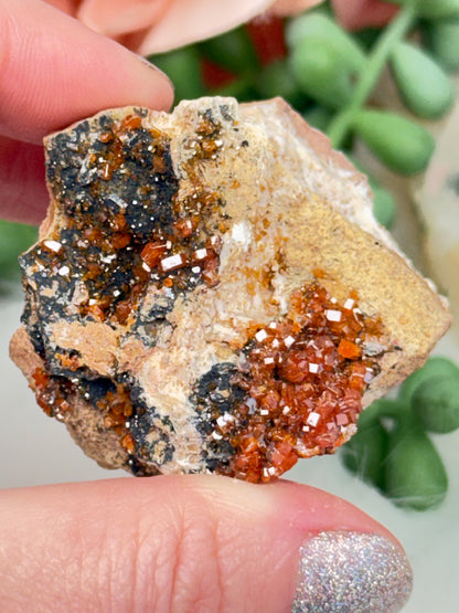 Small Vanadinite Clusters