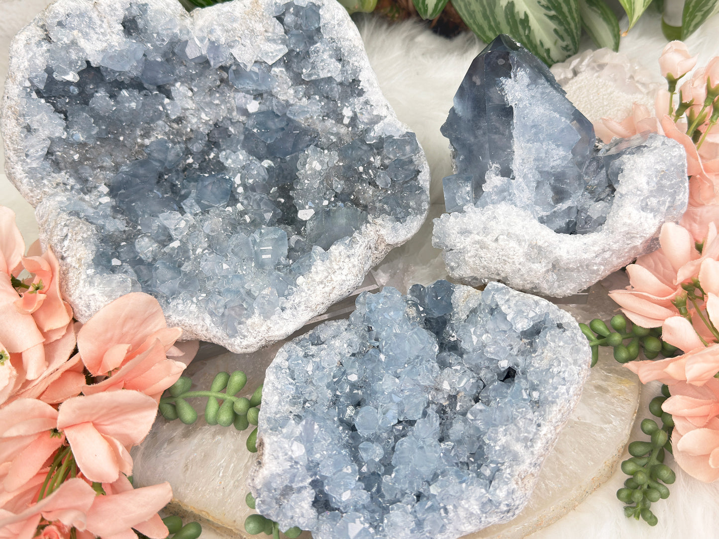 Large Blue Celestite Clusters