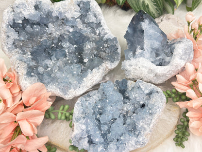 Large Blue Celestite Clusters