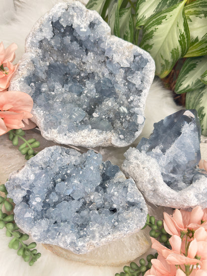 Large Blue Celestite Clusters