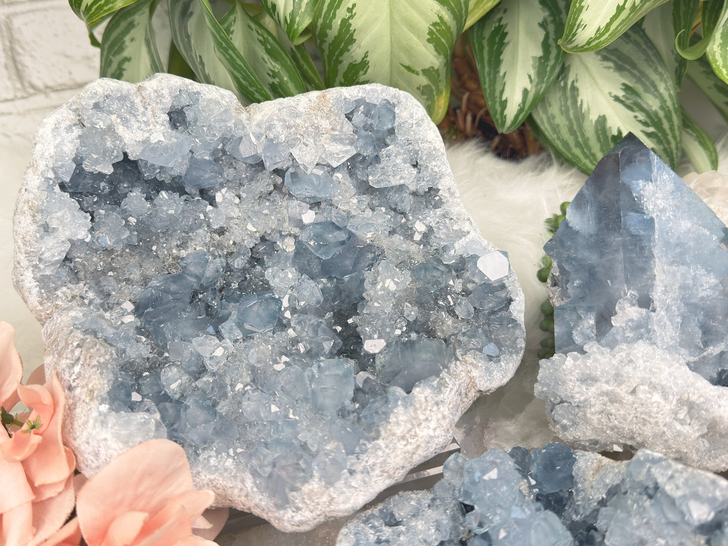 Large Blue Celestite Clusters