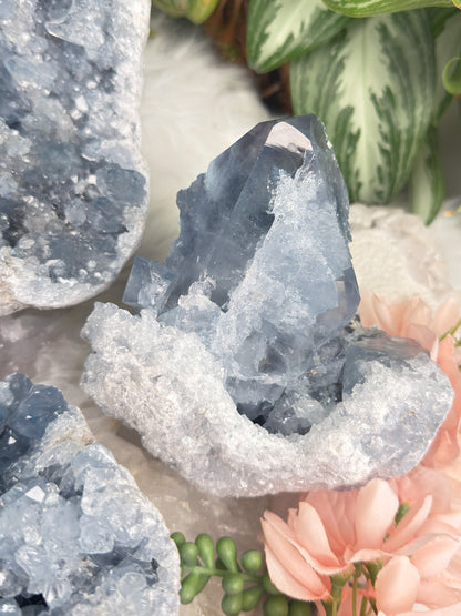 Large Blue Celestite Clusters
