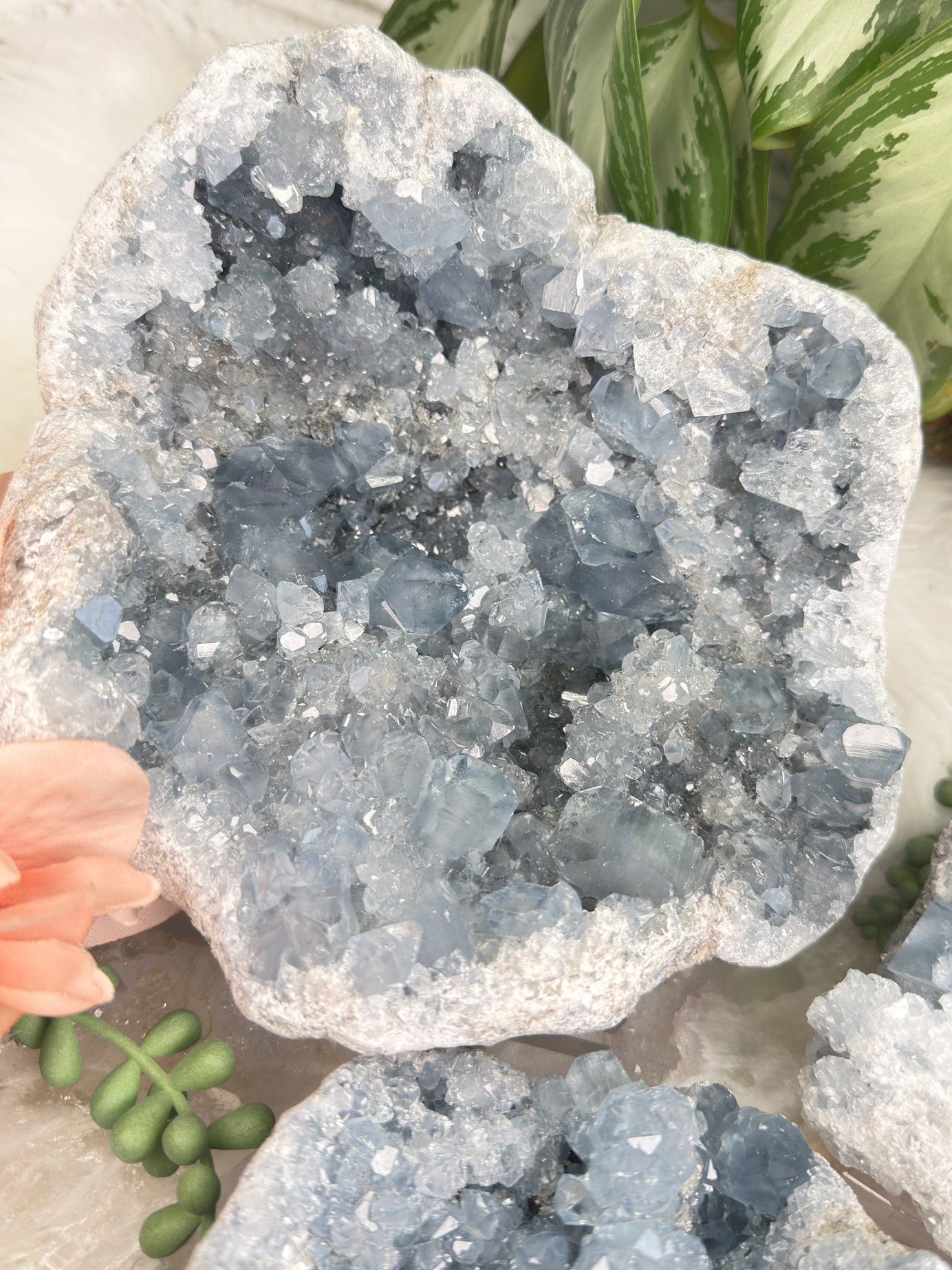 Large Blue Celestite Clusters
