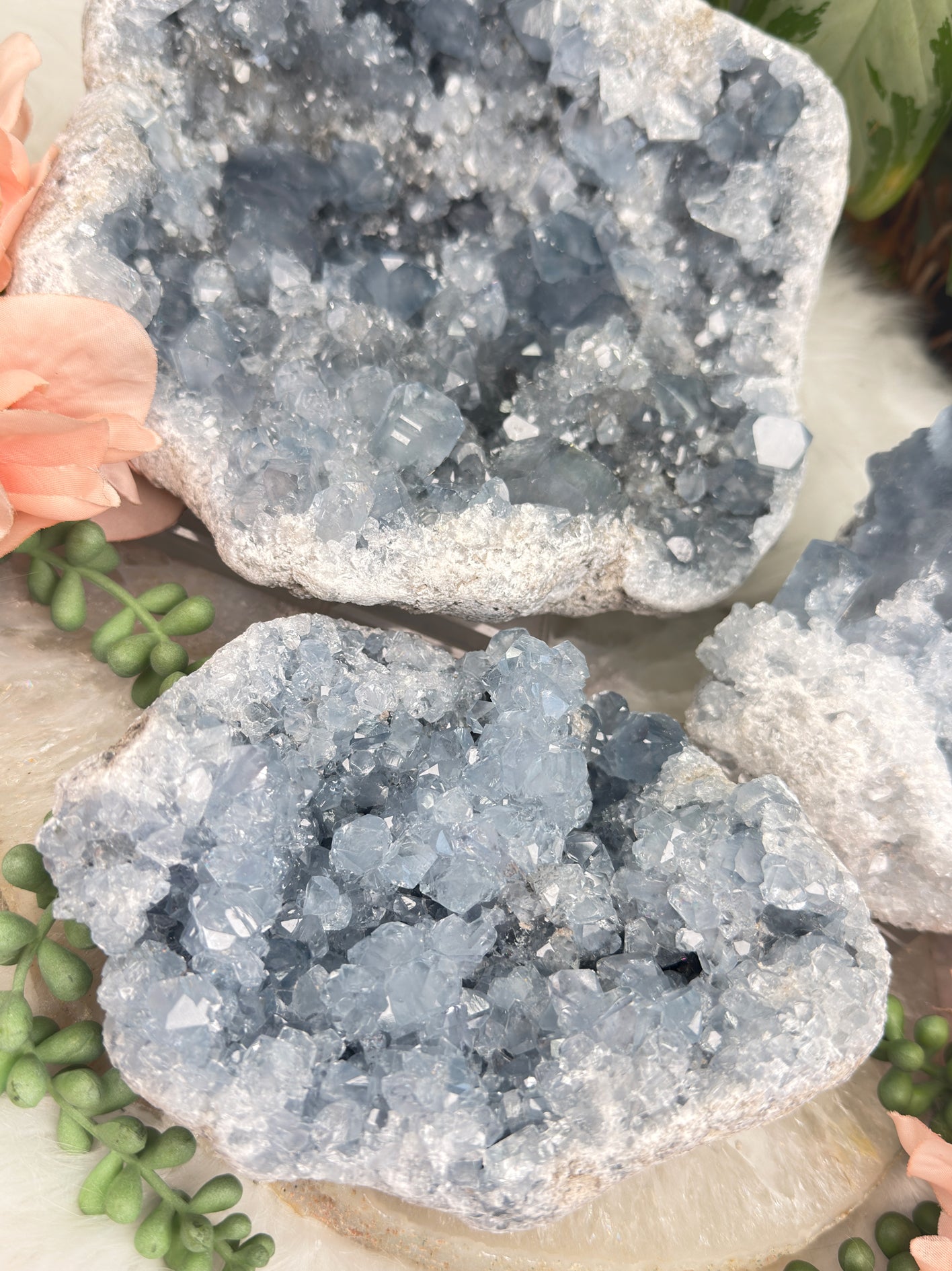 Large Blue Celestite Clusters