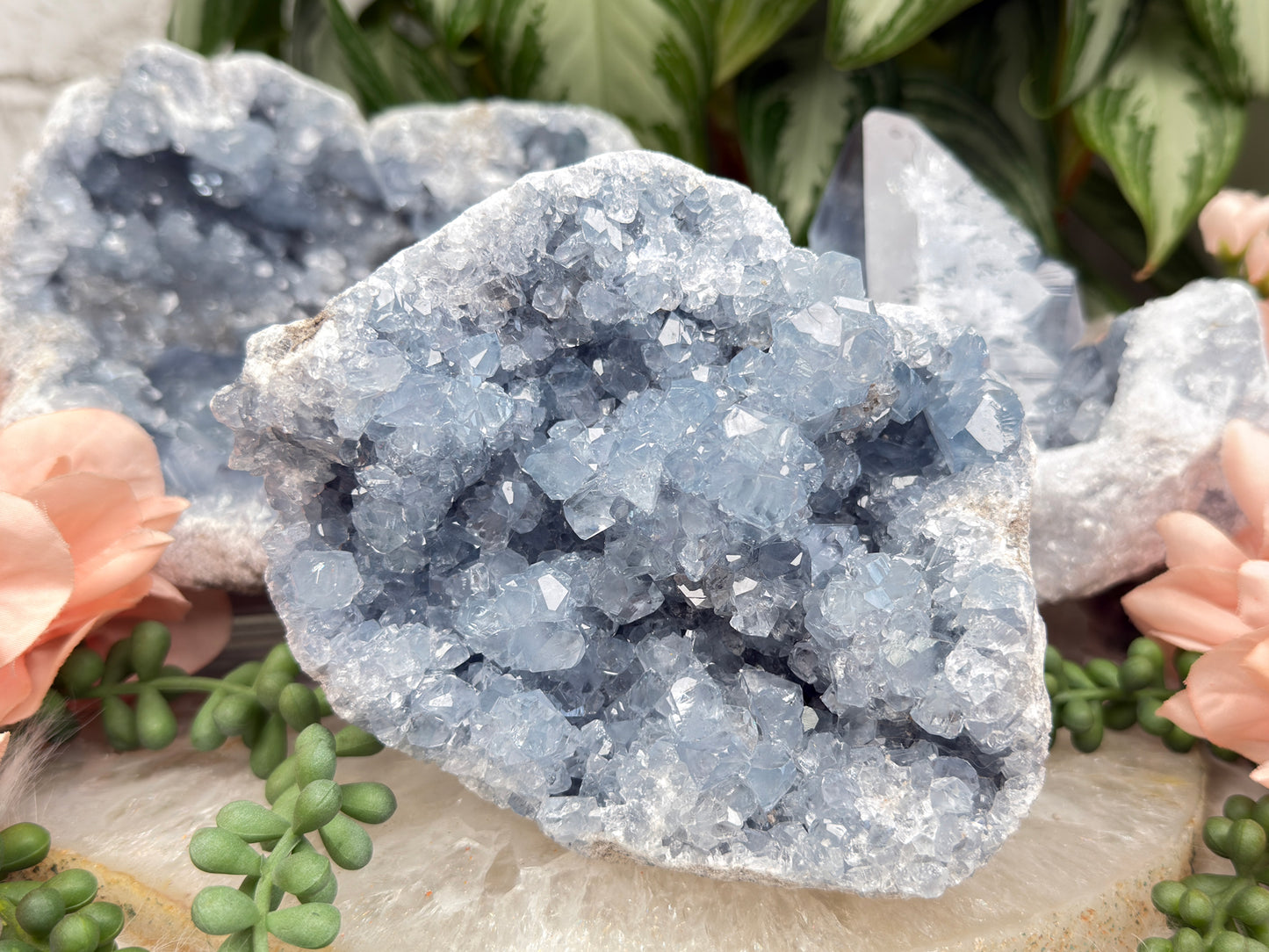 Large Blue Celestite Clusters