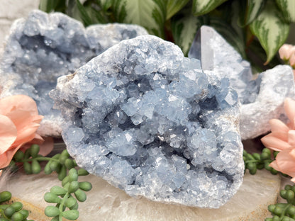 Large Blue Celestite Clusters