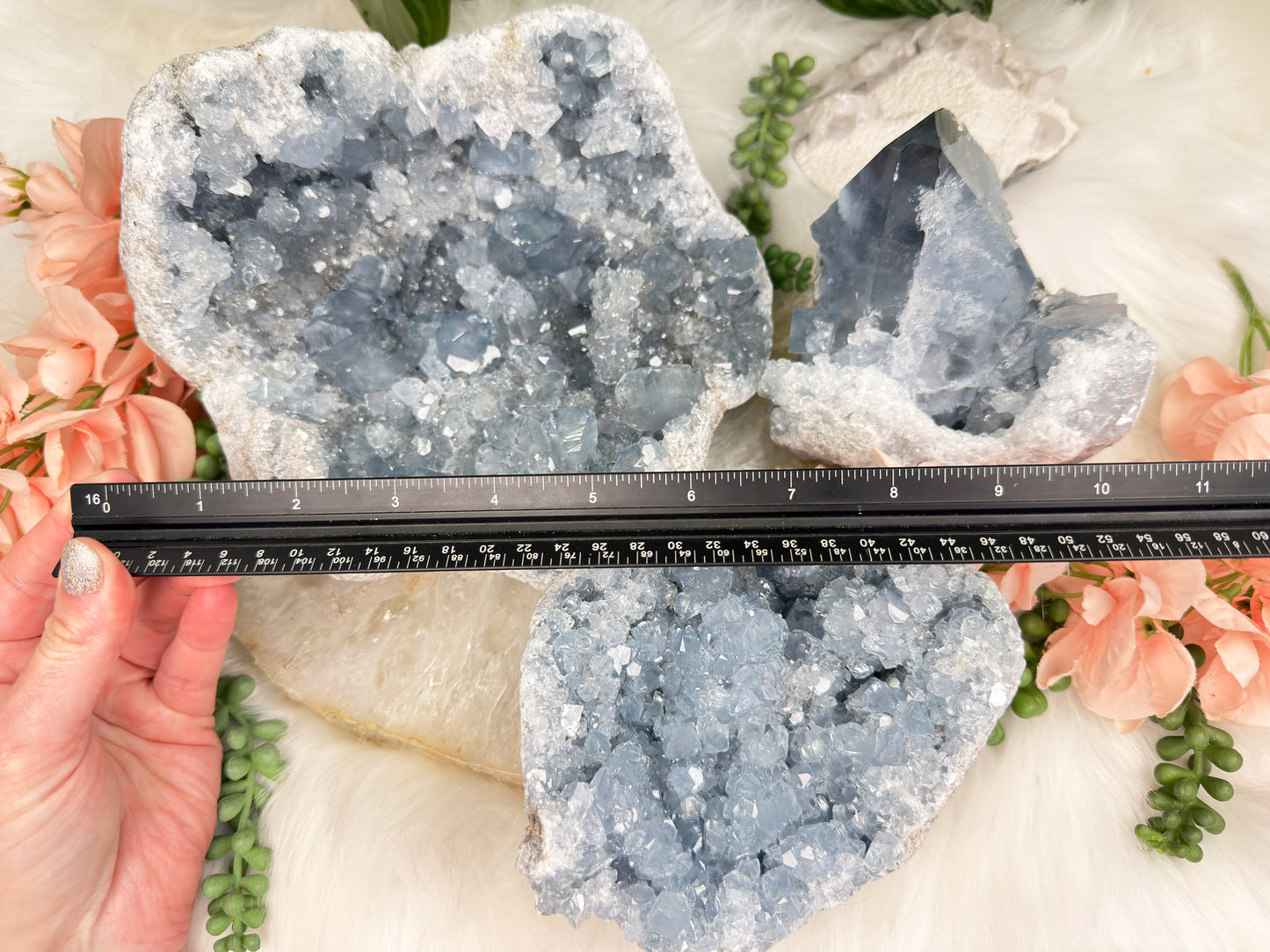 Large Blue Celestite Clusters