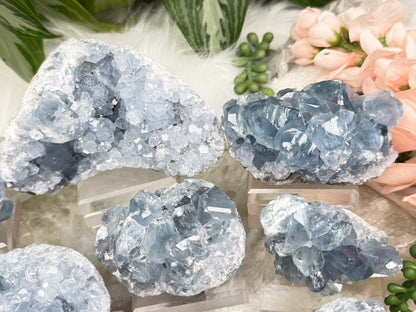 Blue Celestite Crystals