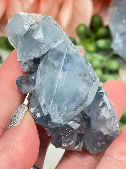 Blue Celestite Crystals