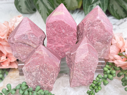 Pink Petrified Wood Points