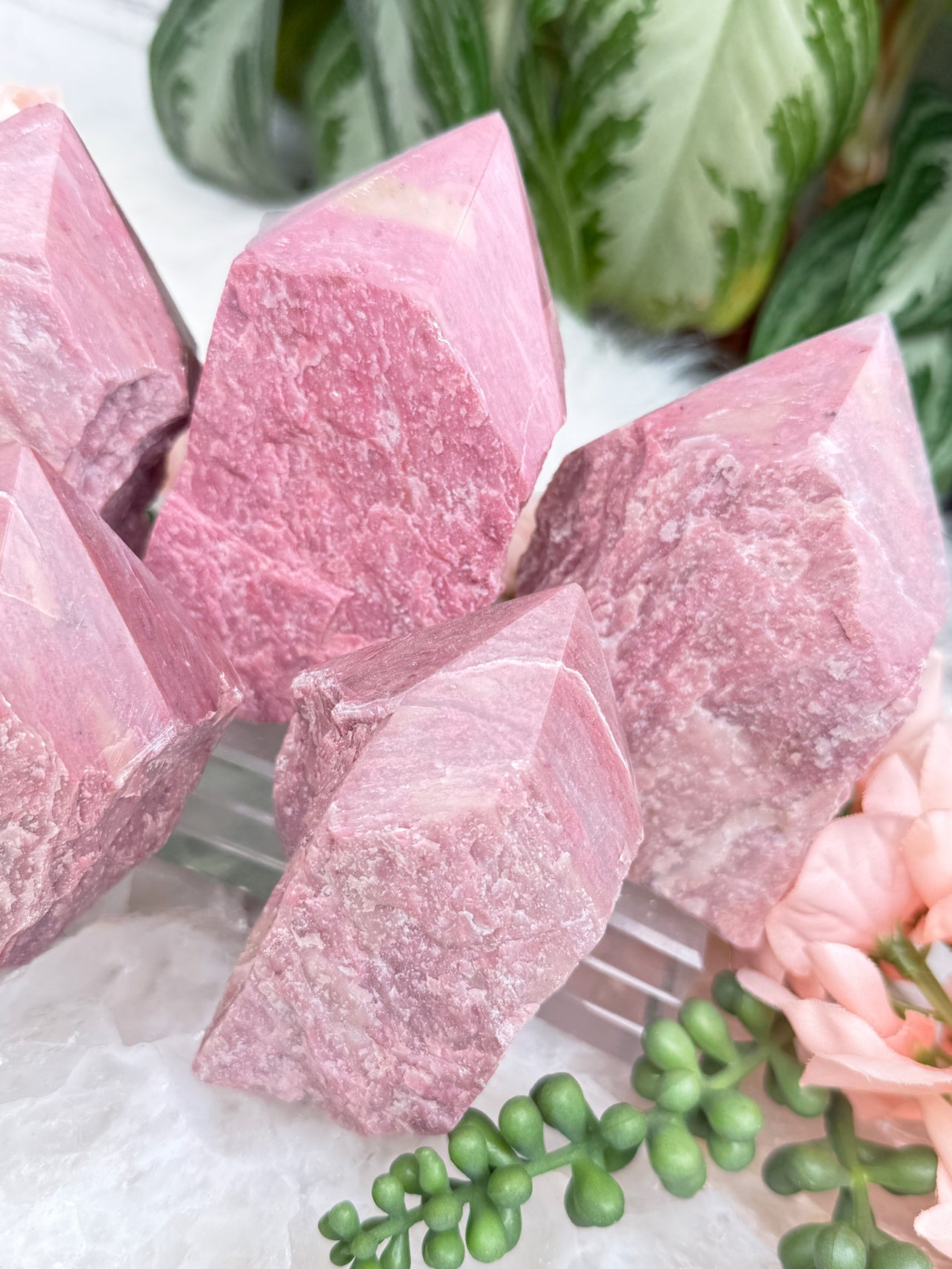 Pink Petrified Wood Points