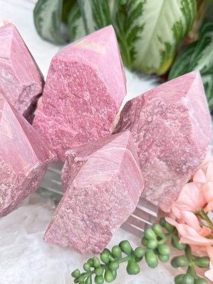 Pink Petrified Wood Points