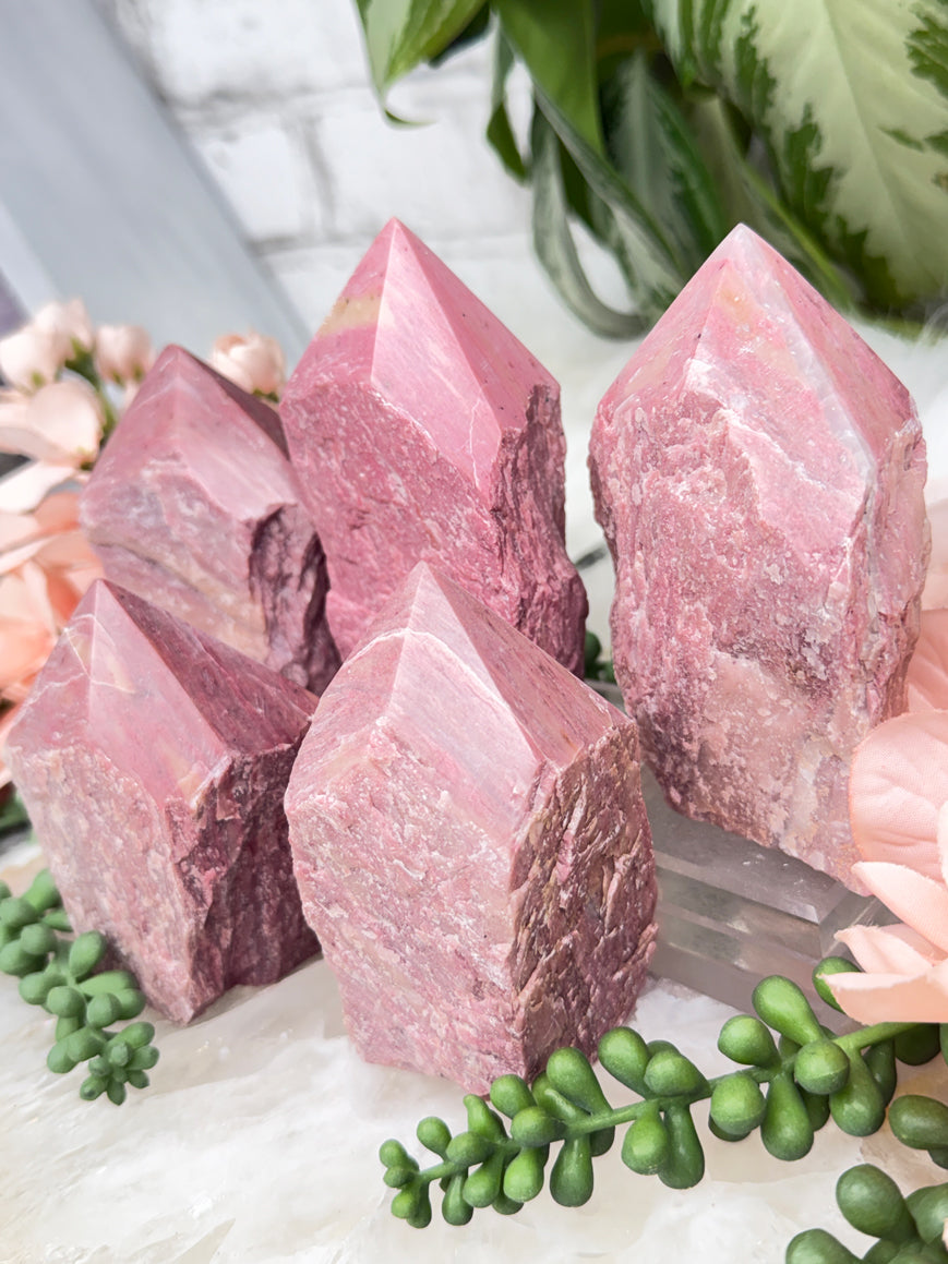 Pink Petrified Wood Points