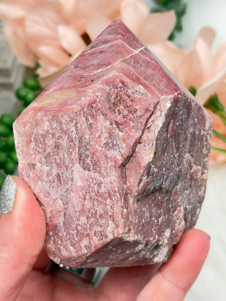 Pink Petrified Wood Points