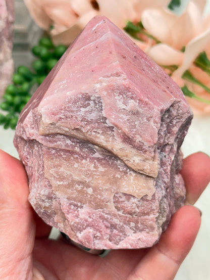 Pink Petrified Wood Points