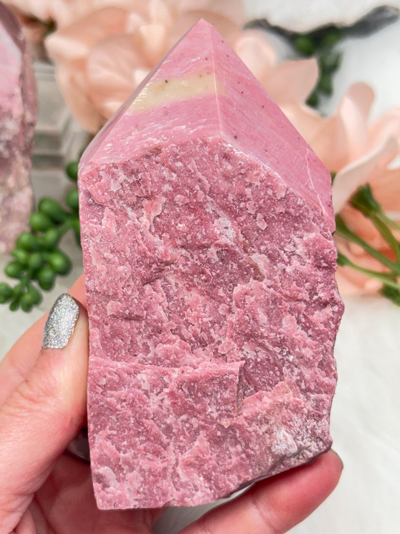 Pink Petrified Wood Points