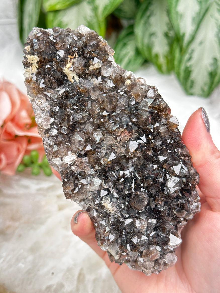 Dark Goethite Quartz Clusters