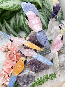 Contempo Crystals - Crystal Birds - Image 4