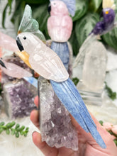 Load image into Gallery: Contempo Crystals - Crystal Birds - Image 15