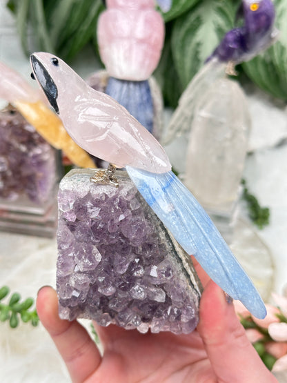 Crystal Birds