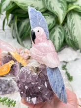 Load image into Gallery: Contempo Crystals - Crystal Birds - Image 9
