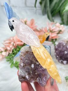 Contempo Crystals - Crystal Birds - Image 10