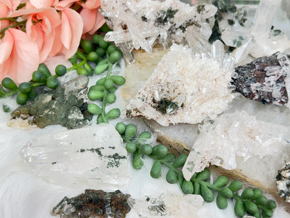 Green Chlorite Colombian Quartz