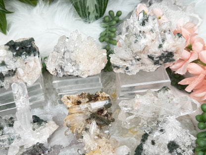 Green Chlorite Colombian Quartz