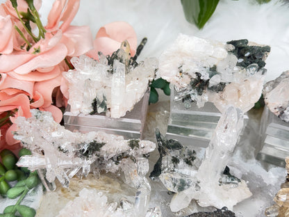 Green Chlorite Colombian Quartz