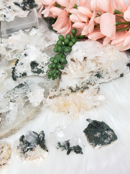 Green Chlorite Colombian Quartz