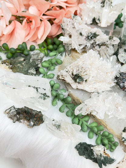 Green Chlorite Colombian Quartz