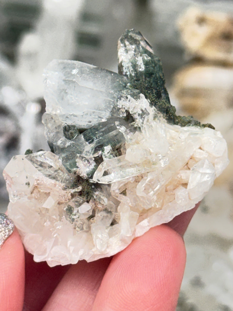 Green Chlorite Colombian Quartz