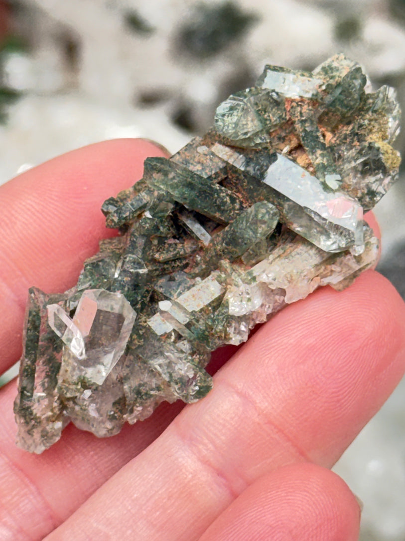 Green Chlorite Colombian Quartz