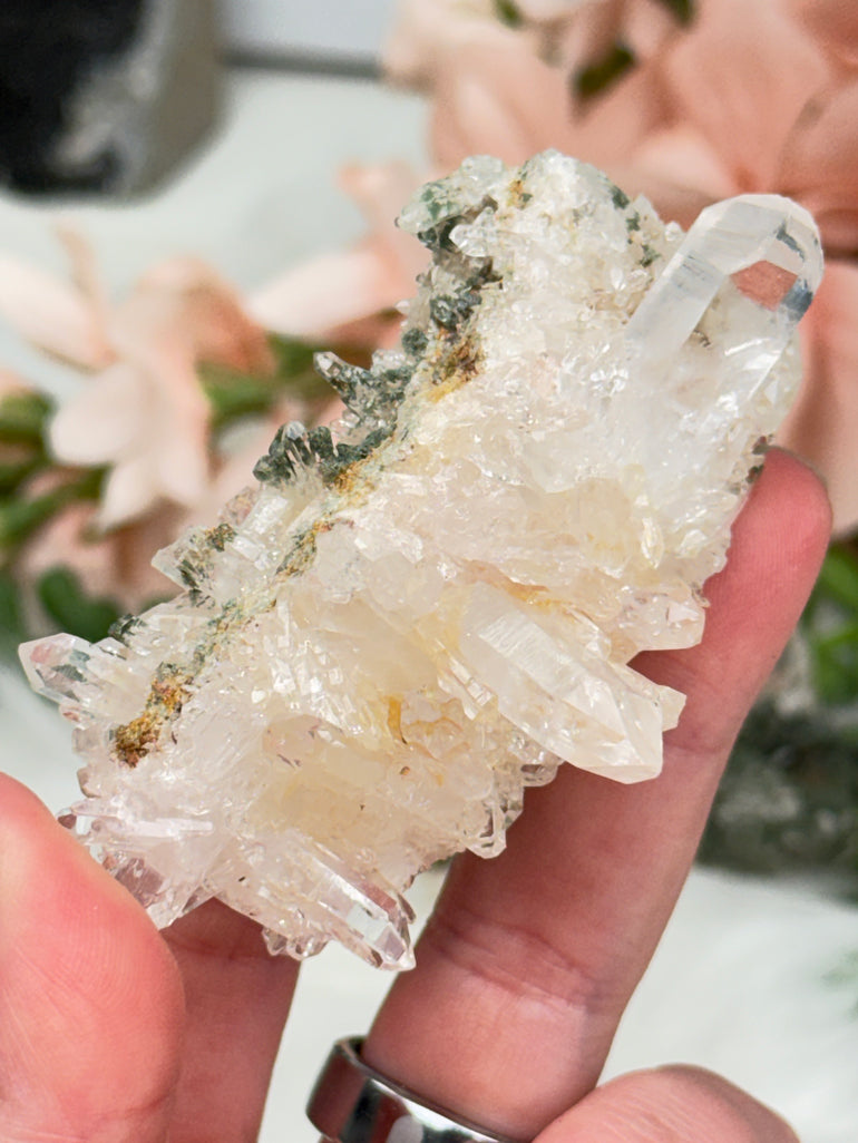 Green Chlorite Colombian Quartz