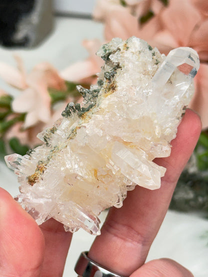Green Chlorite Colombian Quartz