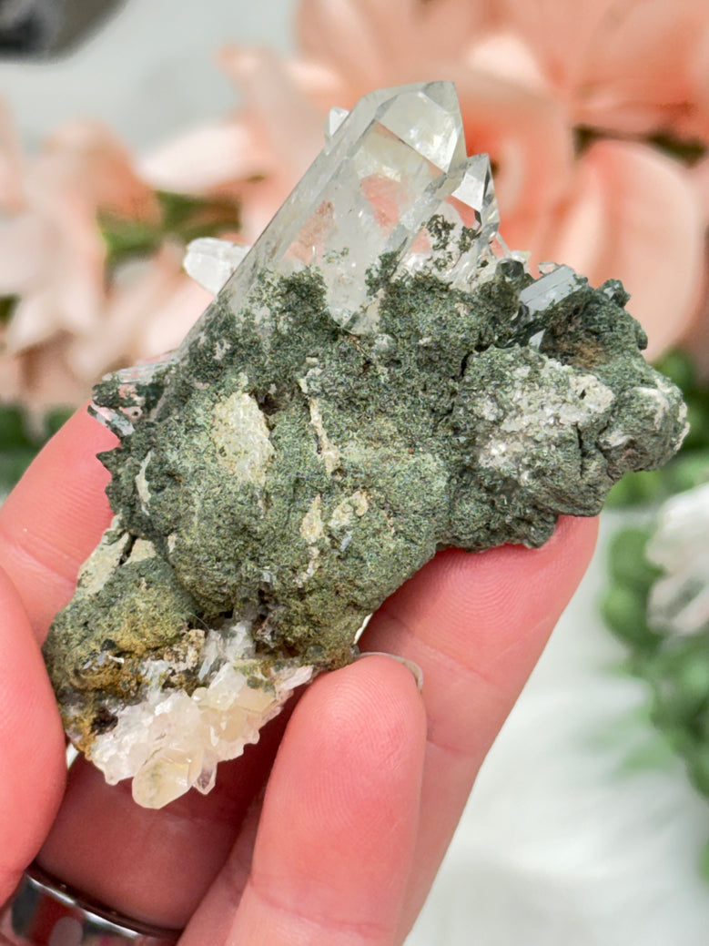 Green Chlorite Colombian Quartz