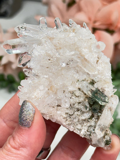 Green Chlorite Colombian Quartz