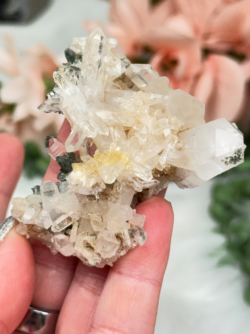 Green Chlorite Colombian Quartz