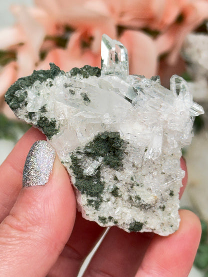 Green Chlorite Colombian Quartz