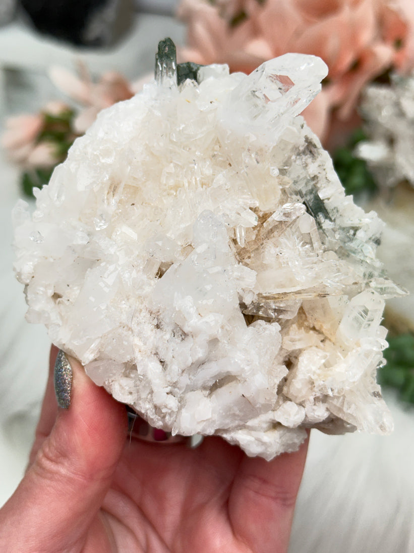 Green Chlorite Colombian Quartz